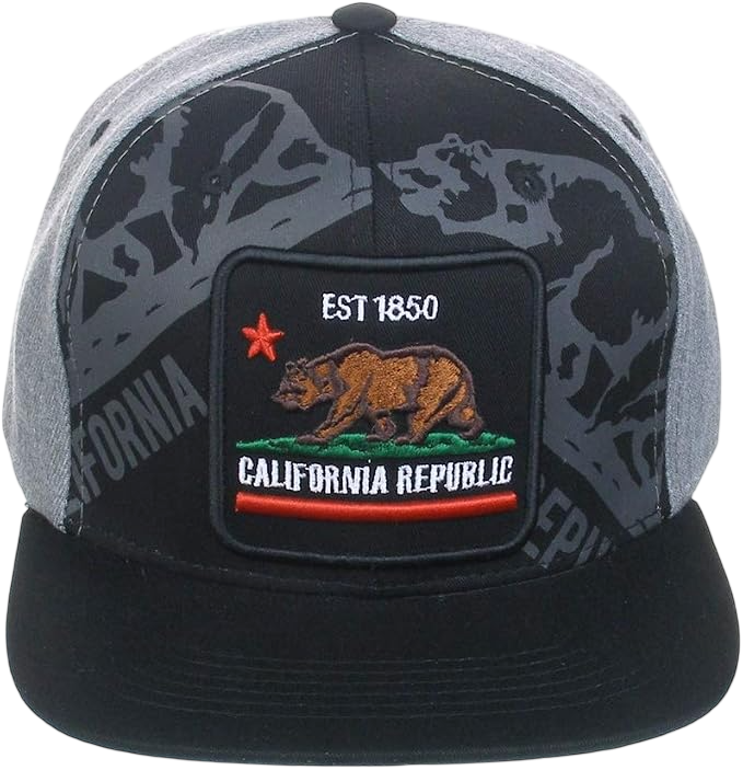Top Level California Republic Bear Flat Brim Snapback Hat/Cap 060420A