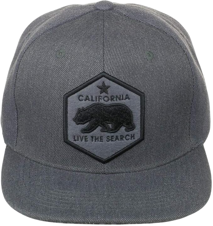 Flat Bill California Republic Bear Snapback Cap 297