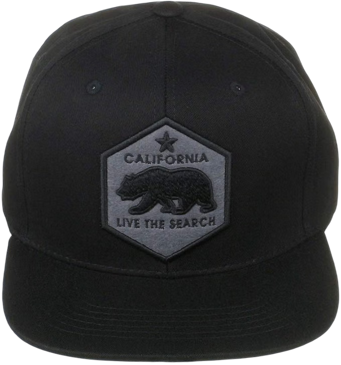 Flat Bill California Republic Bear Snapback Cap 297